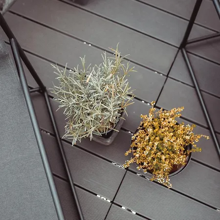 Exklusive Mosel-Fewo In Senheim - Grosse Dachterrasse - Netflix - Waschmaschine Экстерьер фото
