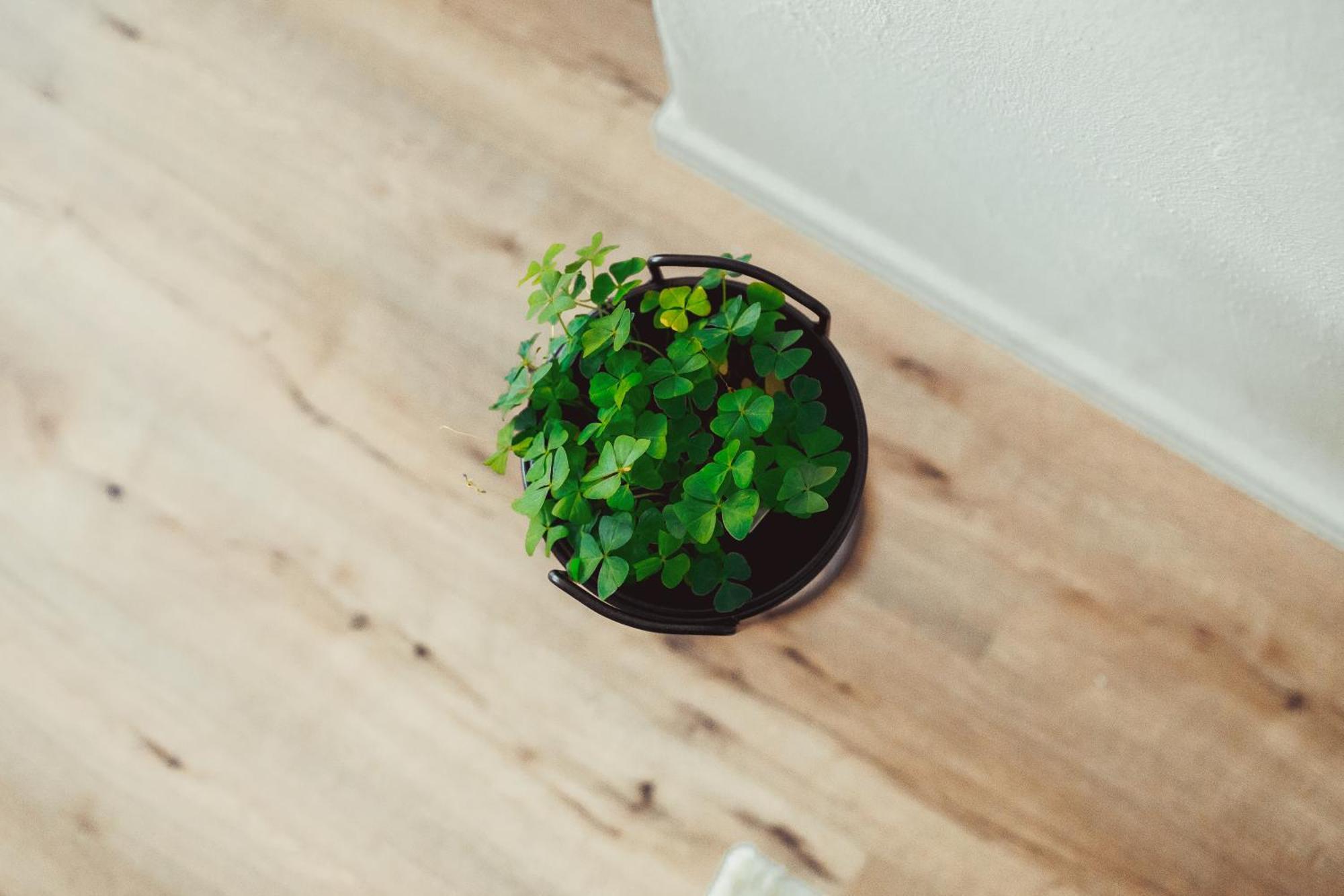 Exklusive Mosel-fewo In - Grosse Dachterrasse - Netflix - Waschmaschine *